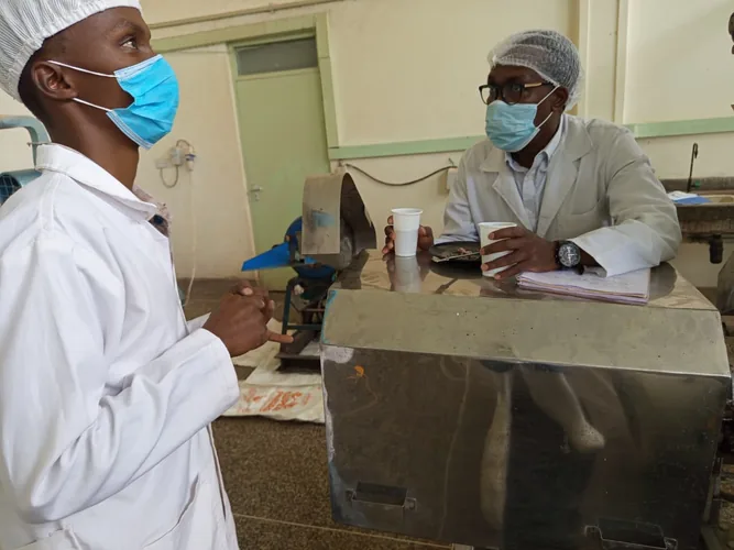 Production at KIRDI